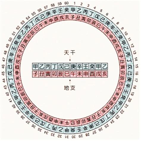 1995 天干地支|天干地支对照表